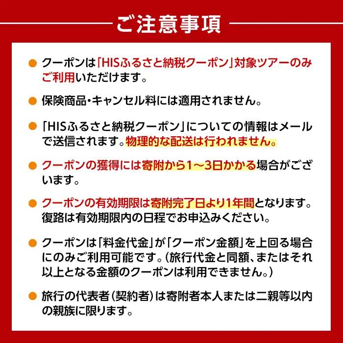K-415 鹿児島県霧島市の対象ツアーに使えるHISふるさと納税クーポン(30,000円分)【エイチ・アイ・エス】霧島市 旅行 ツアー 観光 トラベル 旅 チケット 電子クーポン 旅行券