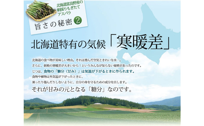 【2027年春発送】ふらの産☆生で食べれる アスパラ【3kg】150
