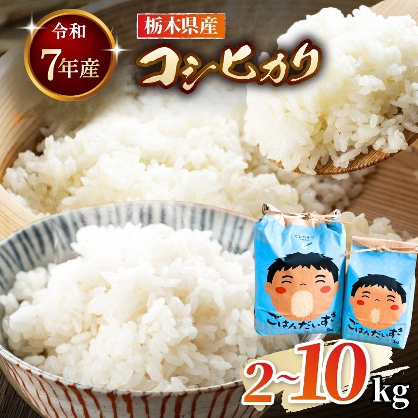 【ふるさと納税】★楽天限定★ 矢板市産 こしひかり お米 選べる 2kg～10kg 1か月前後 で 届く！ | 令和7年産 コシヒカリ こめ コメ ご飯 米 容量 2kg 5kg 10kg | 数量限定 白米 産地直送 美味しい おいしい お弁当 リピート 農家直送 栃木県産 栃木県 矢板市 備蓄 米