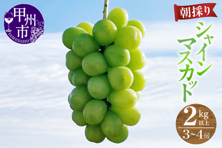 【農家直送】【クール便でお届け】シャインマスカット 2kg以上（3～4房入）【2026年発送】（ABE）C-910 シャインマスカット フルーツ