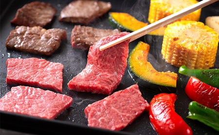 淡路牛ロース焼肉用（約500ｇ入） 兵庫県 洲本市 淡路島