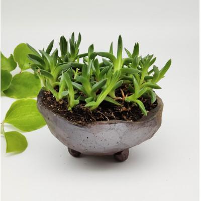 ふるさと納税 備前市 備前焼フリーポット2個組(登り窯、ヒダスキ) |  | 03
