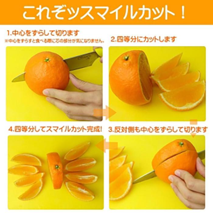 【先行予約】【2025年11月下旬頃順次発送】紅まどんな 約3kg（8~15玉）4L〜Lサイズ 紅まどんな 愛媛 みかん 紅マドンナ 紅まどんな 蜜柑 柑橘 果物 松山市の紅まどんな 贈答 愛媛のみか