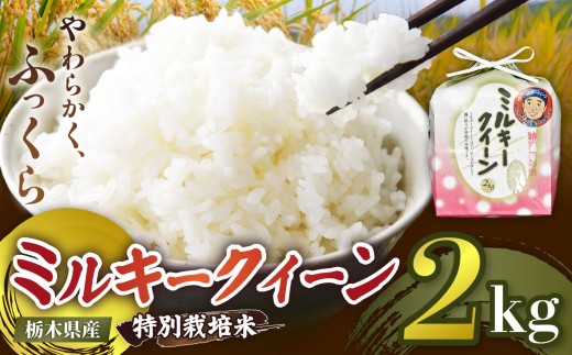 【定期便3回】栃木県矢板市産 ミルキークイーン 2kg 特別栽培米 【先行予約】新米  |  栃木県 矢板市