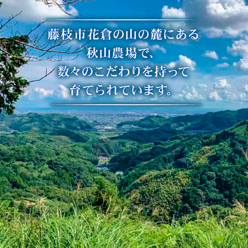 黒毛和牛 カルビ 焼肉 560g×2 A4 A5 ランク 肉 お肉 和牛 牛 人気 国産 静岡県 藤枝市