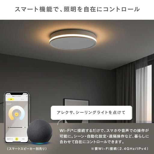 エジソンスマート TREO シーリングライト 福岡市【カラー選択可】 ブラック