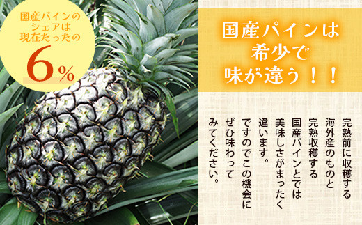【先行予約】《2026年5月下旬頃より順次発送》石垣島産 ピーチパイン 2玉 約1.8kg【 産地直送 石垣島産 石垣 完熟 パイン パイナップル 】TD-010