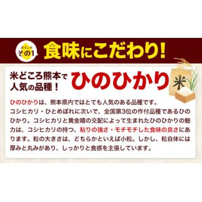 ふるさと納税 氷川町 令和7年産 ひのひかり 無洗米 10kg