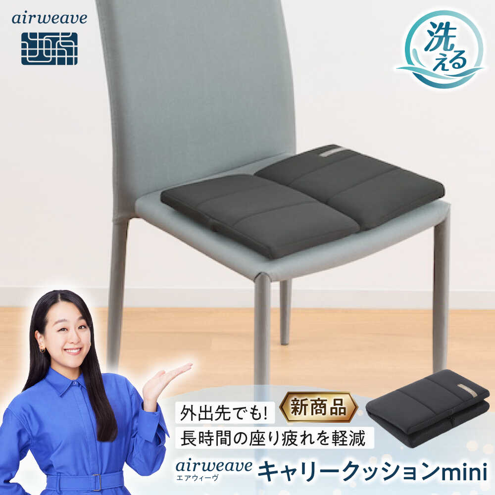 【ふるさと納税】エアウィーヴ キャリークッションmini 滋賀県長浜市/株式会社エアウィーヴ[AQBV177] 新商品 エアウィーヴ エアウィーブ クッション オフィス 持ち運び 快適 デスクワーク 人気 おすすめ 座布団