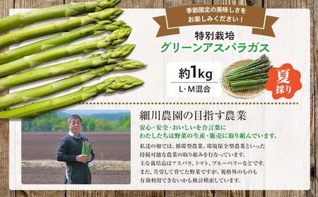 【R8年産】アスパラガス（夏採り）特別栽培 約1kg 細川農園 | グリーンアスパラ グリーンアスパラガス アスパラ 野菜 春野菜 朝採れ 新鮮 極太 サラダ 天ぷら 炒め物 旬 特産 産地直送 北海
