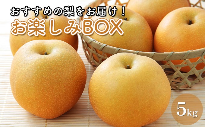 
            [№5904-0487]お楽しみBOX おすすめの梨をお届け 梨 7種の中からお任せ セット 詰め合わせ 豊水 秋月 かおり 新星 新高 甘太 にっこり なし ナシ 和梨 果物 くだもの フルーツ 旬のフルーツ 旬の果物 デザート 千葉 千葉県 成田市
          