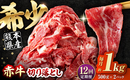 【全12回定期便】 赤牛 切り落とし 1kg（500g×2パック） / 牛肉切り落とし 和牛 熊本県産 冷凍[AYBV036]
