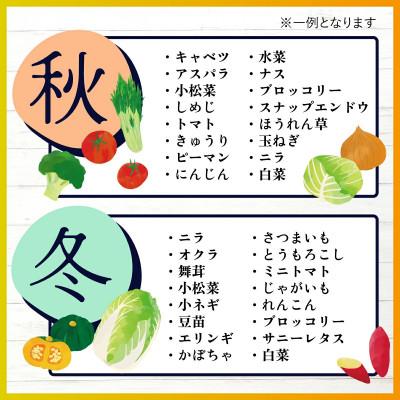 ふるさと納税 鹿島市 【毎月定期便】旬のおまかせ野菜BOX 詰め合わせ 8〜10品目全6回 |  | 03