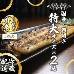 AK007_【土用の丑の日企画：7月28日冷蔵発送】朝開き国産うなぎ２尾（1尾あたり約200ｇ） 塩焼き 国産鰻 ウナギ