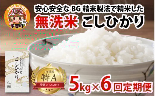 【令和７年産　毎月定期配送・計6回】 BG無洗米こしひかり5kg×6回 [K-00401] / 滋賀県産 多賀町 コシヒカリ 米 お米 こめ コメ 白米 ご飯 精米 5kg 袋 定期便 6ヶ月連続 国産 送料無料 おすすめ 人気 大人気 国産 ランキング 無洗米 ヌカ