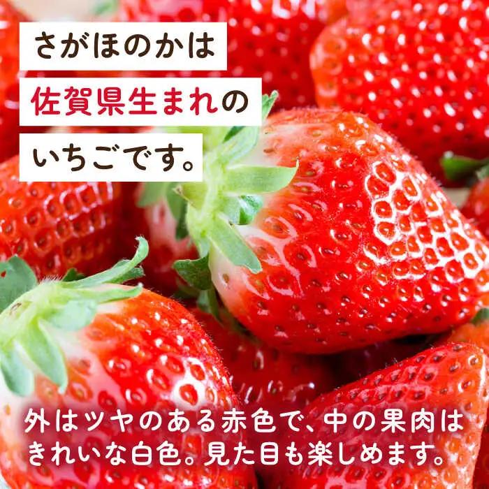 【2027年1月以降順次発送】【化粧箱入り】白石産いちご「さがほのか」400g / 佐賀県 いちご / 岸川農園 [41ASAG003]