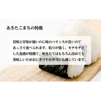 ふるさと納税 羽後町 あきたこまち 真空キューブ米 300g×10個 合計3kg [No.5325-0259] |  | 03