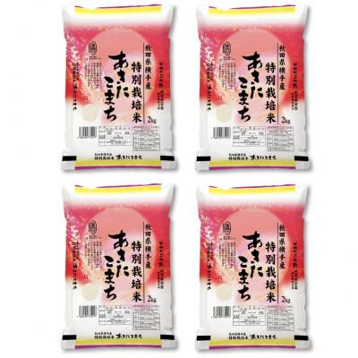 ふるさと納税 横手市 【令和7年産】&lt;愛和自然農法研究会&gt;特栽米あきたこまち8kg(2kg×4袋)　精米