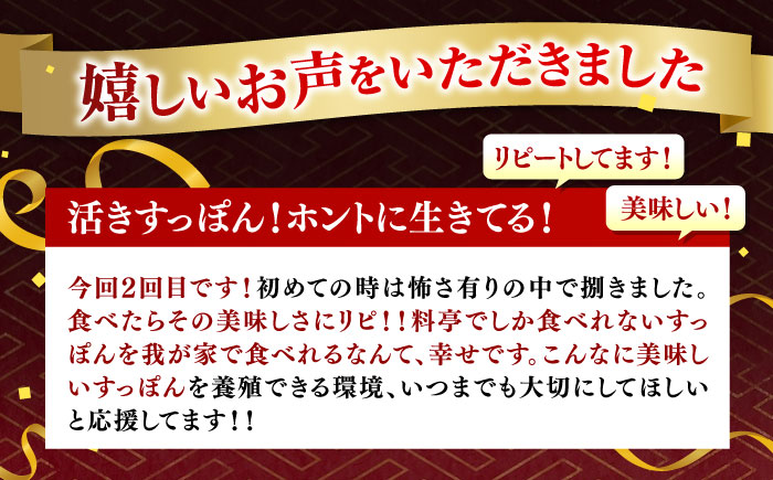 【全12回定期便】生きたまま届く最高級食材！江田島育ちのすっぽん【活き】 江田島市/平井興産株式会社[XAC015] 定期便