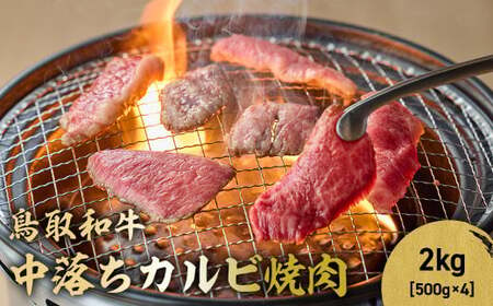 鳥取和牛 中落ちカルビ焼肉 2kg ( 500g × 4 ) 牛肉 和牛 鳥取和牛 ブランド和牛 焼肉 焼肉用 焼き肉 焼き肉用 和牛カルビ 中落ちカルビ 焼肉カルビ 黒毛和牛 KR1490