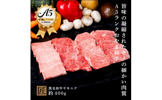 おやま和牛 A5 極 ヤキニク 約400g【1096935】