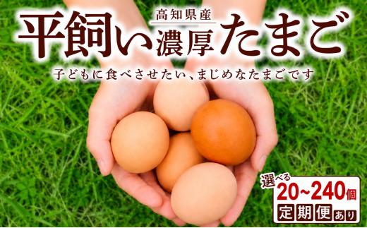 土佐ジロー10個×2P(12回) うらにわ自然たまご園