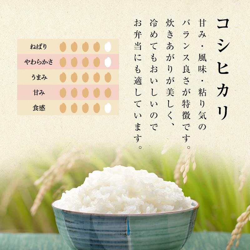 お米の定期便 特別栽培米 太地米完熟 【こしひかり】 白米1
