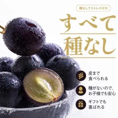 星乃ピオーネ 3房～5房(2kg以上)【配送不可地域：離島】【1740015】