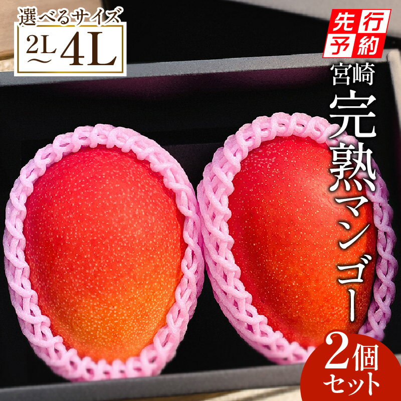 【ふるさと納税】《2026年発送先行予約》【選べる大きさ】【期間・数量限定】宮崎完熟マンゴー2玉 | 宮崎マンゴー 完熟マンゴー マンゴー フルーツ 果物 ギフト プレゼント 贈答 贈答用 贈り物 内祝い お祝い 化粧箱入り 化粧箱 おすすめ 人気 宮崎県 宮崎市 送料無料 |
