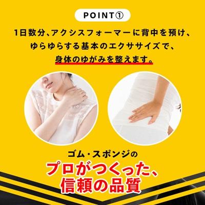 ふるさと納税 枚方市 アクシスフォーマー ロングポール (ネイビー) |  | 01