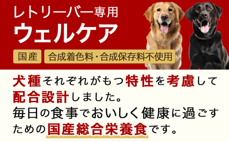 ドッグフード(レトリーバー専用)シニア6kg_LG-3316_(都城市) 国産総合栄養食 ドライフード レトリーバー専用 大粒タイプ シニア用 健康維持 犬種別 犬用フード