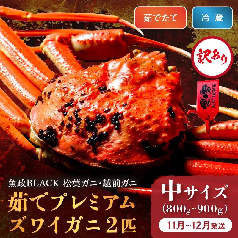 訳あり 【蟹の匠 魚政】茹で プレミアムズワイガニ 魚政BLACK（松葉ガニ・越前ガニ） 中サイズ（800～900g） 2匹セット (11月～12月発送) 蟹