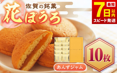 花ぼうろ あんずジャム入り 10個 / お菓子 和菓子 スイーツ まるぼうろ / 佐賀県 / 株式会社北島 [41AABN005]