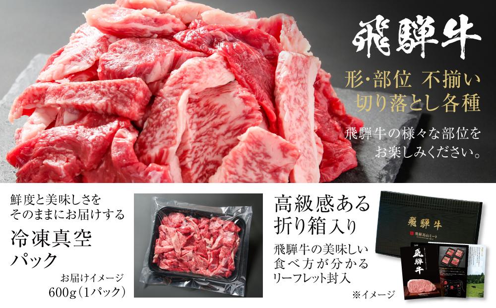 訳あり 飛騨牛 焼肉 切り落とし 600g 冷凍真空パック | 肉 お肉 切落し 不揃い 焼肉 焼き肉 やきにく 黒毛和牛 和牛 人気 おすすめ 牛肉 ギフト お取り寄せ【飛騨高山ミート MZ013】