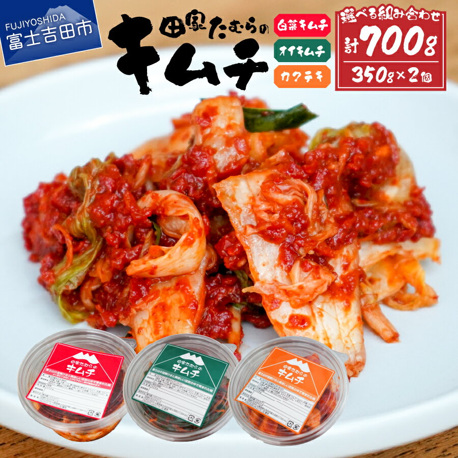 【ふるさと納税】 キムチ 白菜キムチ オイキムチ カクテキ 選べる 350g×2個 セット 計700g 本場 手作り 国産野菜 白菜 きゅうり 胡瓜 大根 本格発酵キムチ 韓国キムチ ヤンニョム 漬け物 唐辛子 浅漬け 発酵食品 おかず 本場韓国人の作るキムチ ふるさと納税 6000円 6000