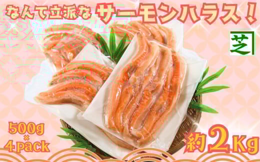 サーモンハラス なんて立派な サーモンハラス ! 2kg 冷凍 銚子 千葉 鮭 さけ サケ しゃけ シャケ サーモン 海鮮 塩 鮭 魚 サーモン ハラス 鮭ハラス バーベキュー グルメ お取り寄せ 贈り物 贈答 お歳暮 プレゼント 人気 おかず おつまみ 酒の肴 朝食 夕食 国内加工 小分け 個包装 ふるさと納税 ふるさと納税鮭 送料無料 10000 10000円 千葉県 銚子市 シバショウ