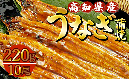 高知県産養殖うなぎ蒲焼 10尾(合計約2200g) - 土用の丑の日 鰻 ウナギ 蒲焼き かば焼き かばやき うな丼 うな重 送料無料 ギフト お中元 御中元 父の日 お礼 御礼 感謝 贈答 贈り物 
