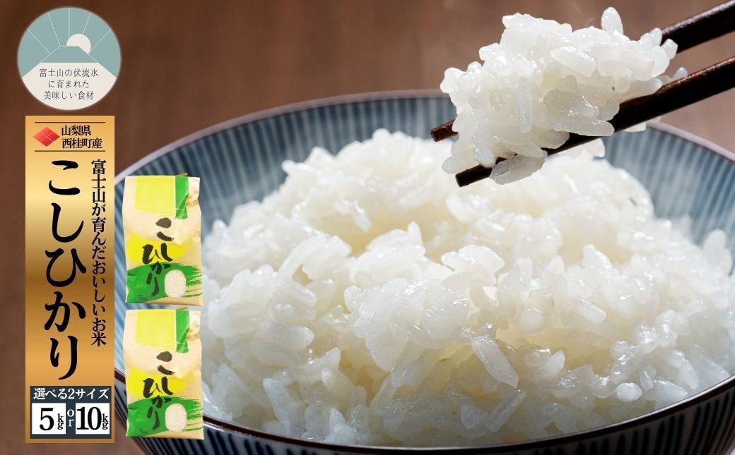 
                  コシヒカリ  選べる容量 / 国産 こしひかり  5キロ 10キロ 米 お米 保存袋 生活必需品 ギフト 贈り物 お歳暮 ふるさと納税 送料無料 [注目] 【n0663_gou】
                