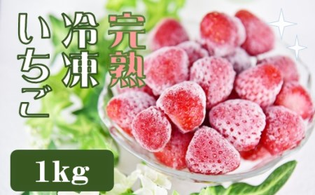 特別賞受賞！完熟冷凍いちご 1kg BabyBerryFarm　【 いちご イチゴ  冷凍 冷凍いちご フローズン 紅ほっぺ フルーツ 静岡県産 ふるさと納税  国産 産地直送 】