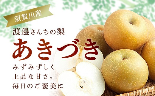 
                  須賀川市産 渡邉さんちの梨 あきづき 5kg（12～16玉） F7X-0930
                
