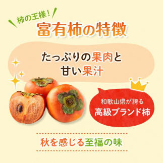 ◆先行予約◆和歌山県産 富有柿＜ご家庭用＞約7.5kg 満杯詰め【2024年11月上旬以降発送】【九度山町産】【MG2】