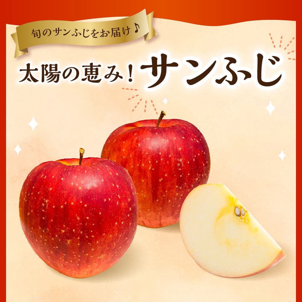 【2024年産 先行予約】 りんご「サンふじ」2kg JA提供　hi003-112