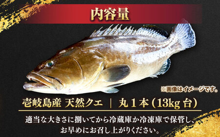天然クエ（13キロ台・丸もの） 《壱岐市》【壱岐島　玄海屋】[JBS053] クエ 魚 刺身 しゃぶしゃぶ 940000 940000円 94万円 のし プレゼント ギフト 冷蔵配送 九州