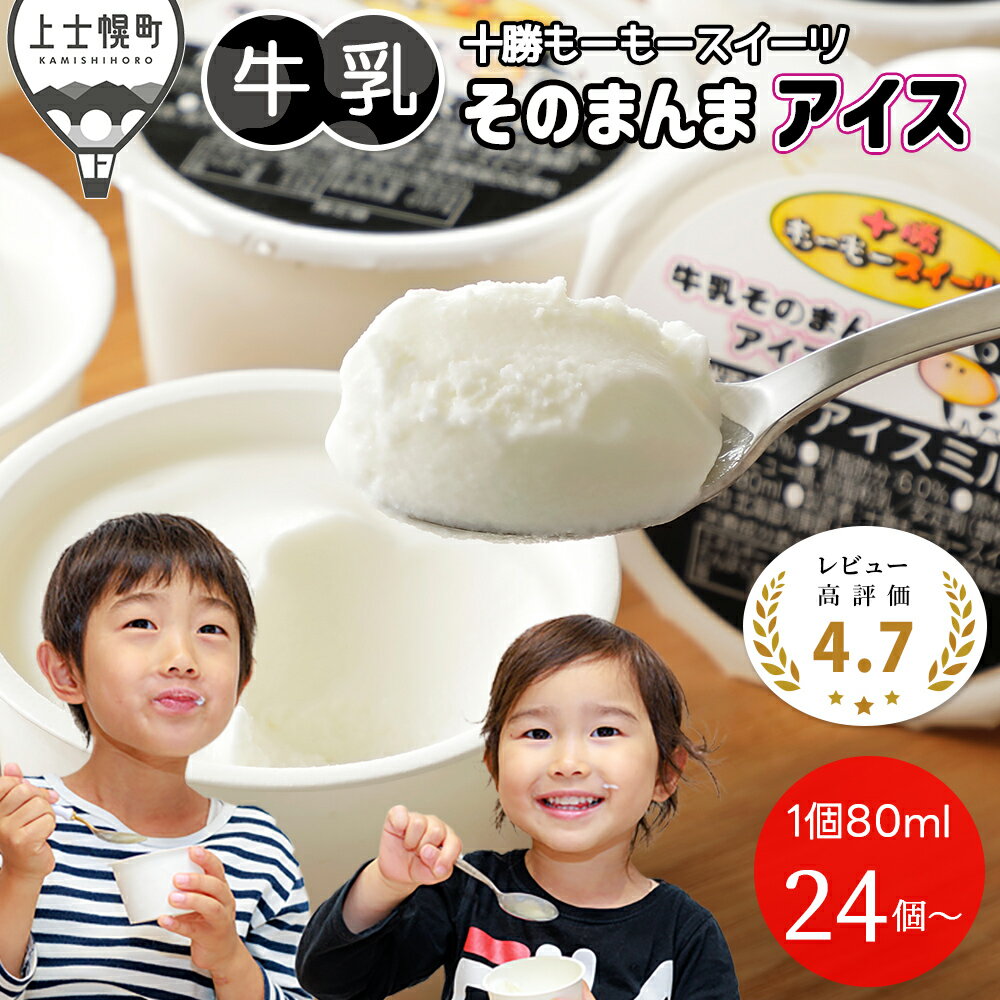 十勝もーもースイーツ 牛乳そのまんまアイス 80ml×27個