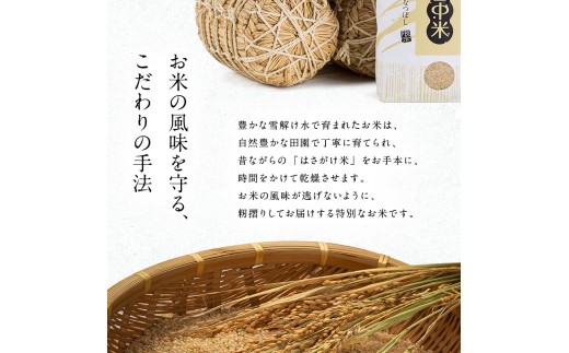 令和8年産 【定期便6ヶ月】 特Aランク米 ゆめぴりか 精米 10kg（5kg×2袋）【2月発送】雪冷気 籾貯蔵 雪中米 北海道 nr-1729