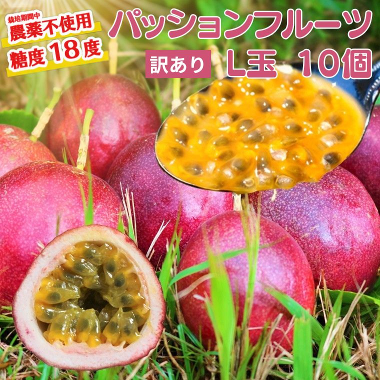 【ふるさと納税】【訳あり】数量限定 糖度18度 パッションフルーツ果実 10個入り 国産 くだもの 果実ビタミンC カリウム 食物繊維 栄養満点 酸味 甘い 旬のフルーツ トロピカルフルーツ 南国フルーツ