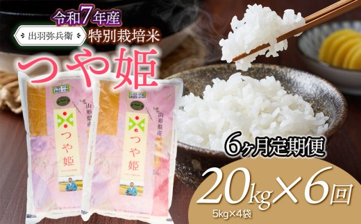 【令和7年産】【定期便6ヶ月】特別栽培米 つや姫 【白米】 20kg（5kg×4袋）×6回　山形県鶴岡市産　出羽弥兵衛米　| お米 米 コメ こめ ライス つやひめ 20キロ ご飯 ブランド米 国産 主食 お取り寄せ 返礼品