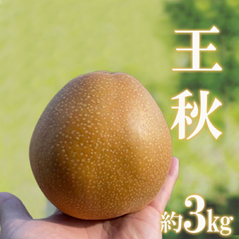 【ふるさと納税】No.2735旬の特選梨 王秋 約3kg【2025年発送　先行予約】