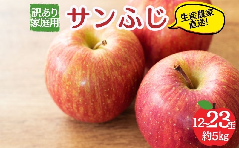 サンふじ 訳あり家庭用 約5kg 12～23玉 りんご 果物 訳あり 信州 長野