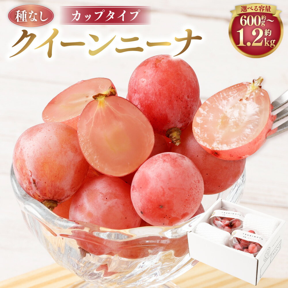 【ふるさと納税】《種なし》岡山県産 クイーンニーナ 手軽なカップタイプ 〈選べる〉約600g or 約1.2kg 1カップ300g 2カップ 4カップ ぶどう くだもの 果物 フルーツ 冷蔵 国産 岡山県 美咲町 送料無料 【2026年8月下旬-9月下旬発送予定】